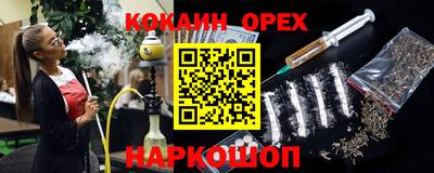 шишки Камышлов