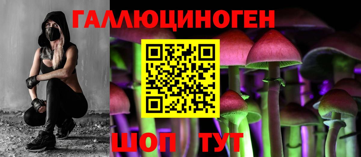 Галлюциногенные грибы Psilocybe  Вход с VPN  Вышний Волочёк 